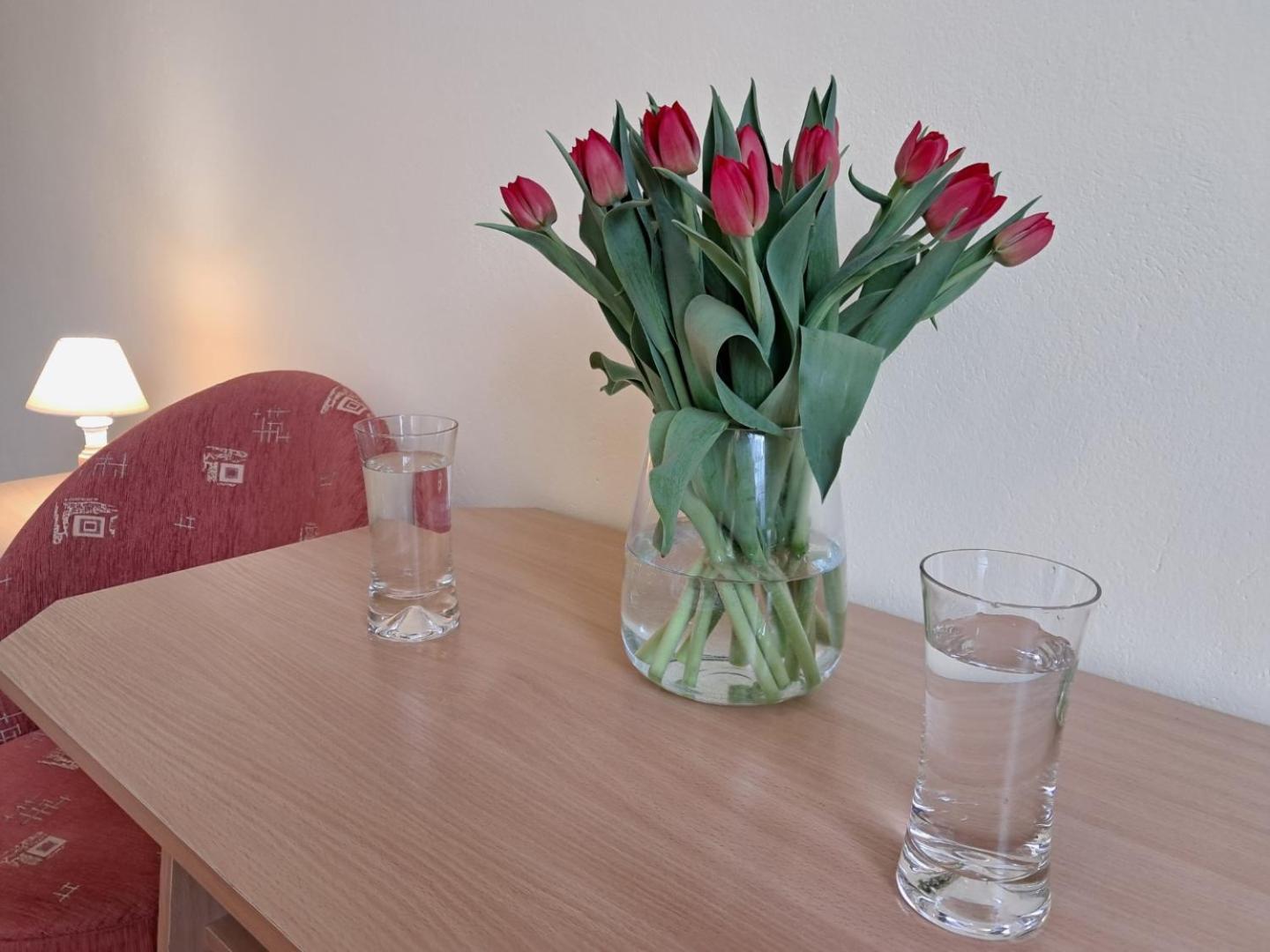 Homestay Magdalena *